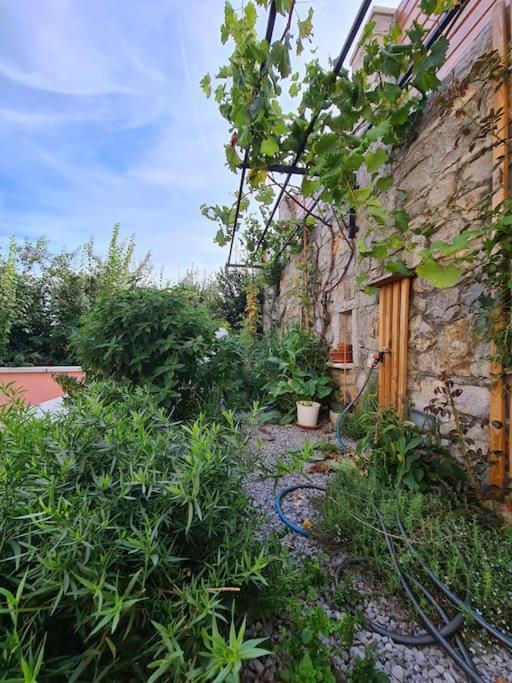 Ferienwohnung Hisa Idej Sežana Exterior foto